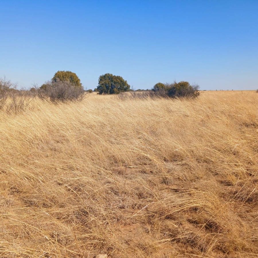 Commercial Property for Sale in Reivilo Northern Cape